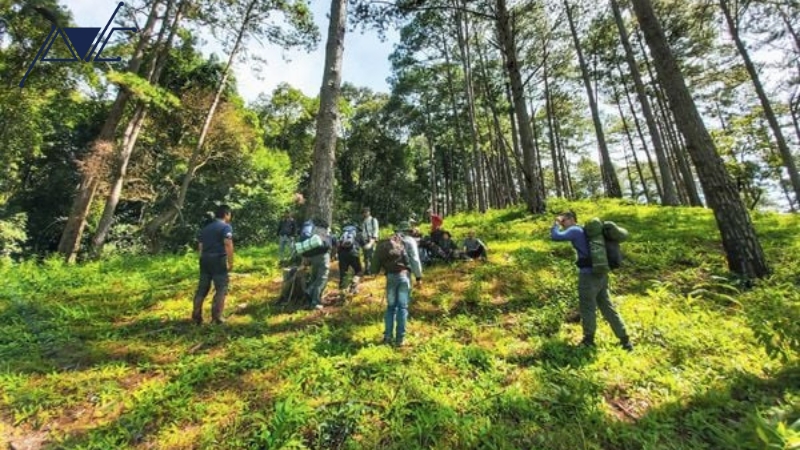Tổ chức trekking tại núi Chứa Chan
