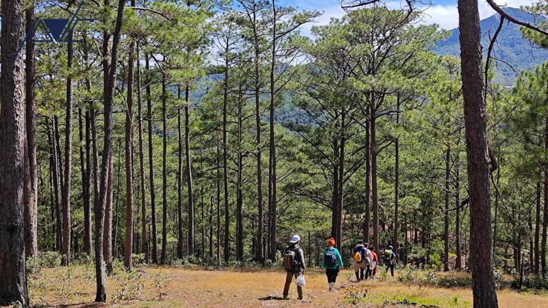 Tổ chức trekking xuyên rừng