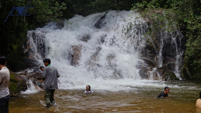 Tổ chức trekking xuyên rừng