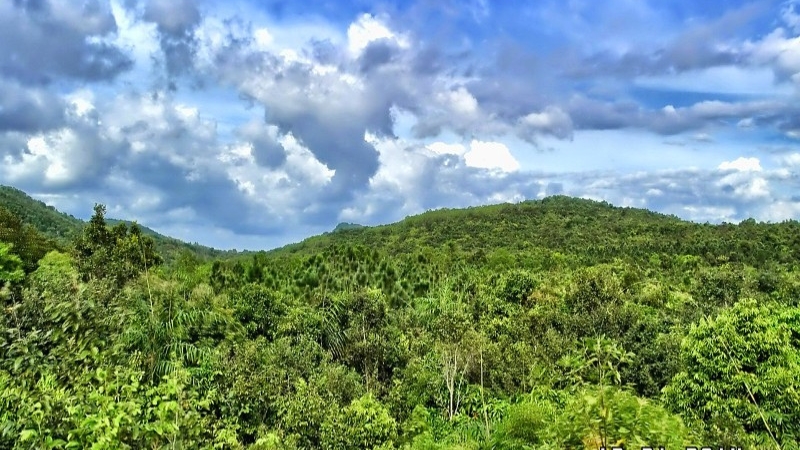 Tour trekking