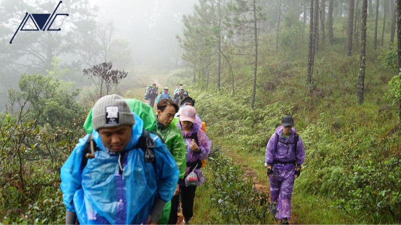 Tour trekking Đà Lạt