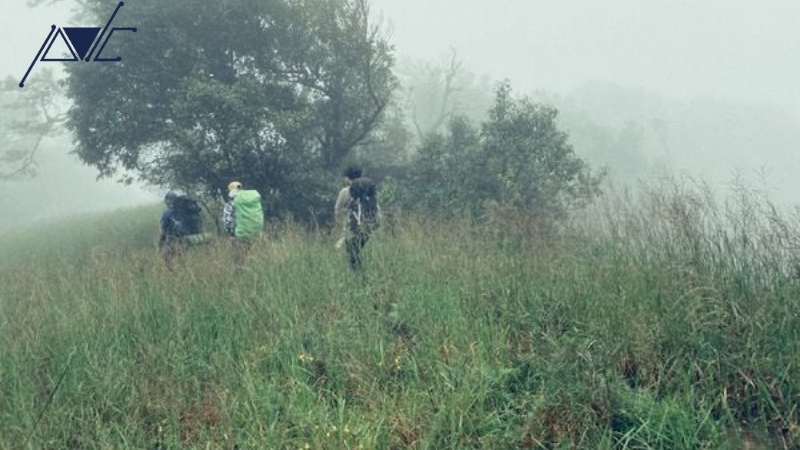 Trekking dành cho doanh nghiệp