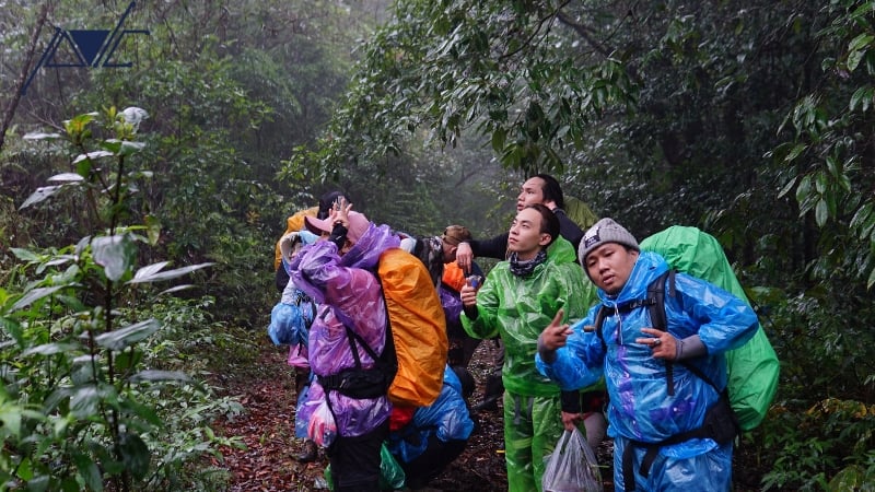 Trekking là gì