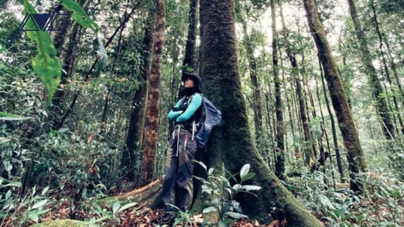 Trekking và bảo vệ môi trường