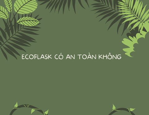 Kiểm định độ an toàn của các sản phẩm tại EcoFlask Vietnam