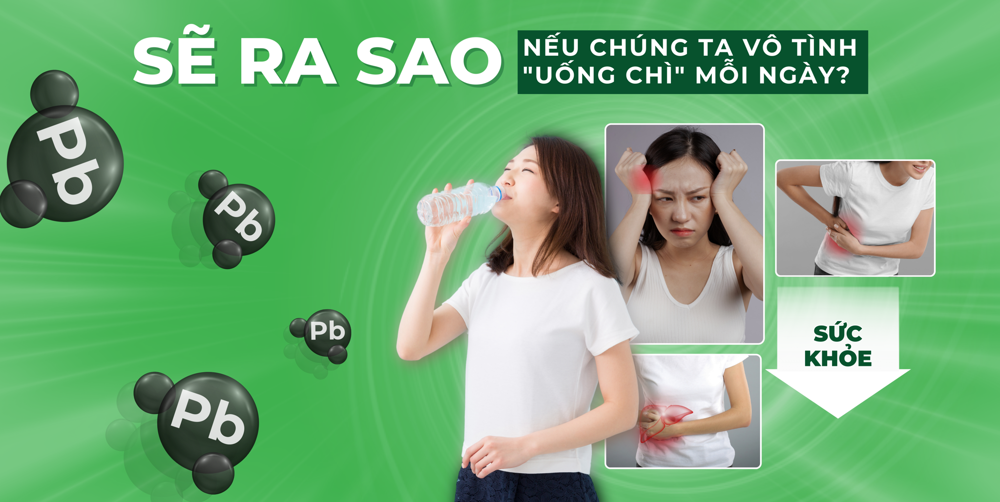 VÌ SAO CHÌ ĐẶC BIỆT NGUY HIỂM VỚI CƠ THỂ NGƯỜI? SẼ RA SAO NẾU CHÚNG TA VÔ TÌNH "UỐNG CHÌ" MỖI NGÀY?