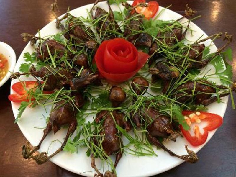 Bài thuốc trị suy nhược cơ thể từ chim sẻ
