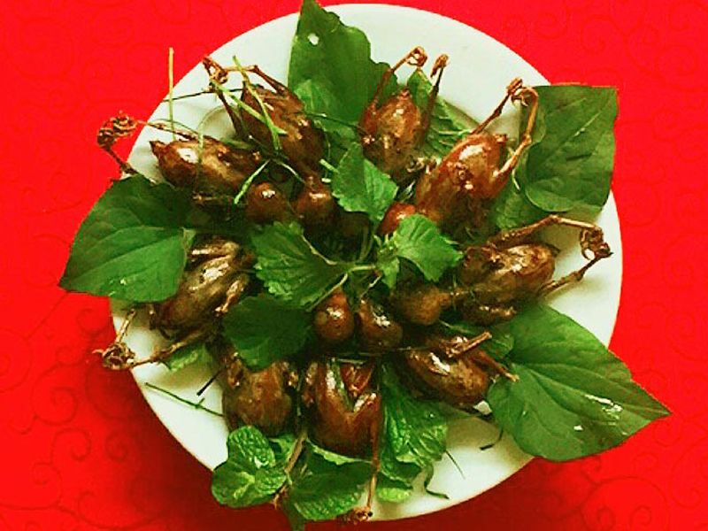 Thịt chim sẻ bổ thận, tráng dương