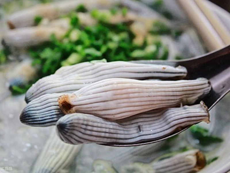 Địa sâm (Sá sùng): Đặc điểm, bào chế, công dụng và cách sử dụng