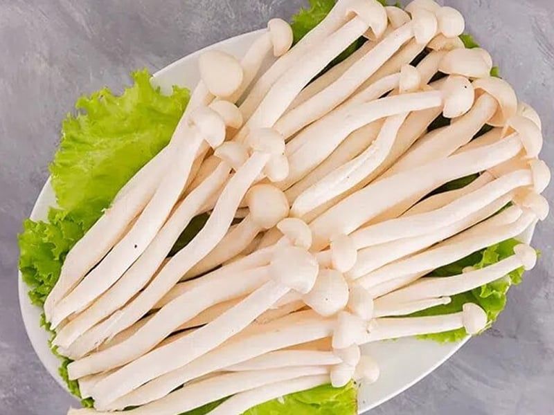 Nấm bạch tuyết: Đặc điểm, bào chế, công dụng và cách sử dụng
