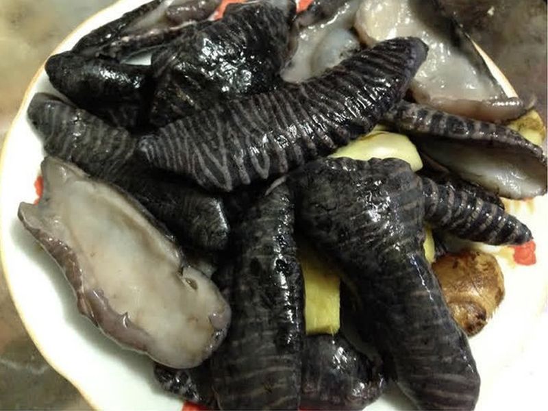 Nấm biển: Đặc điểm, bào chế, công dụng và cách sử dụng