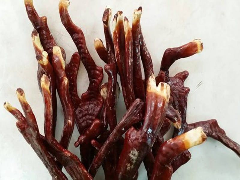 Nấm linh chi sừng hươu: Đặc điểm, bào chế, công dụng và cách sử dụng