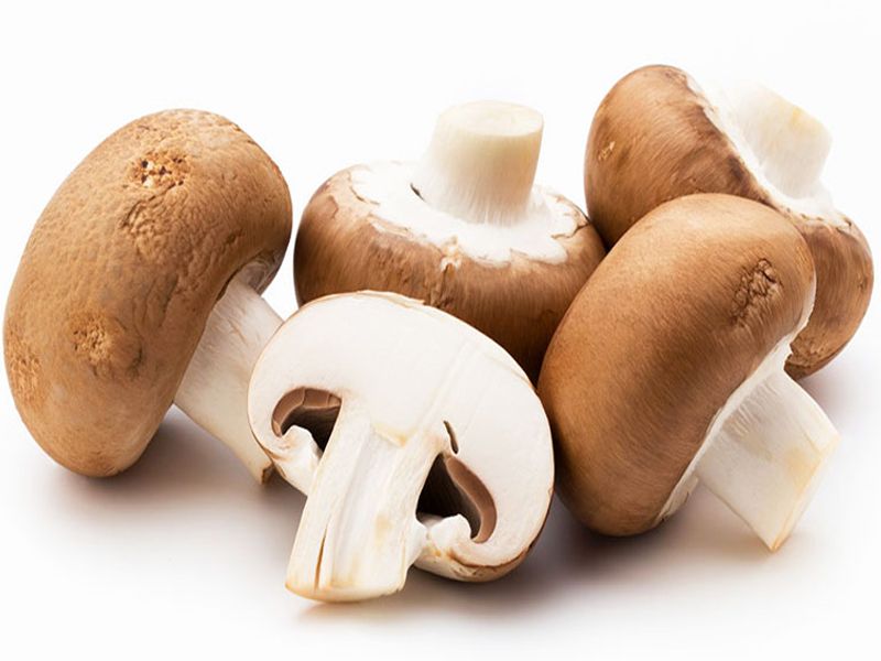 Nấm mỡ: Đặc điểm, bào chế, công dụng và cách sử dụng