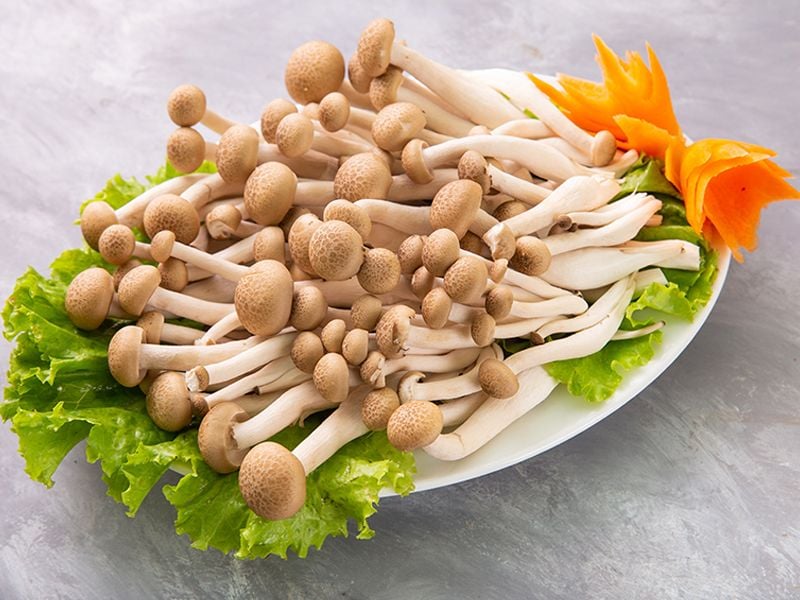 Nấm Thủy tinh nâu: Đặc điểm, bào chế, công dụng và cách sử dụng