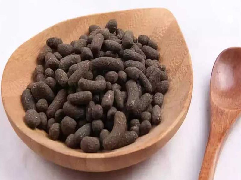 Ngũ linh chi: Đặc điểm, bào chế, công dụng và cách sử dụng