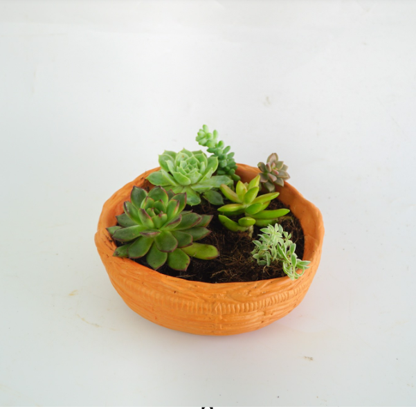 Chậu trồng cây - trang trí đất nung kiểu ổ rơm – NGƯỜI LÀM VƯỜN