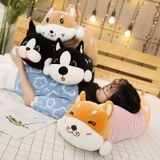 Cách Vệ Sinh Gấu Bông Tại Nhà Dễ Dàng