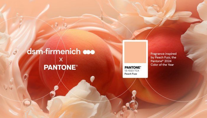 Pantone nghĩ gì khi chọn Peach Fuzz làm màu của năm?