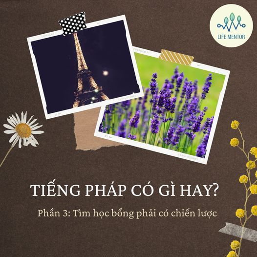 TÌM HỌC BỔNG PHẢI CÓ CHIẾN LƯỢC