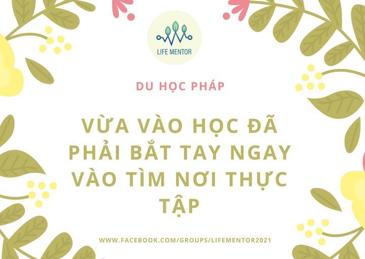 VỪA VÀO HỌC ĐÃ PHẢI BẮT TAY NGAY VÀO TÌM NƠI THỰC TẬP