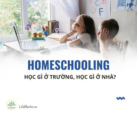 HOMESCHOOLING - HỌC GÌ Ở TRƯỜNG, HỌC GÌ Ở NHÀ?