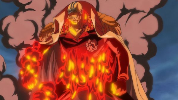 BẬT MÍ: Các trái ác quỷ trong One Piece gồm những loại nào ...