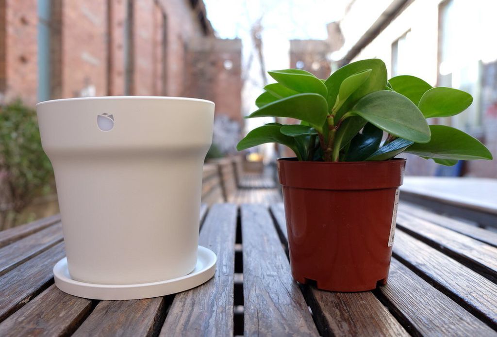 Chậu cây Xiaomi RoPot thông minh