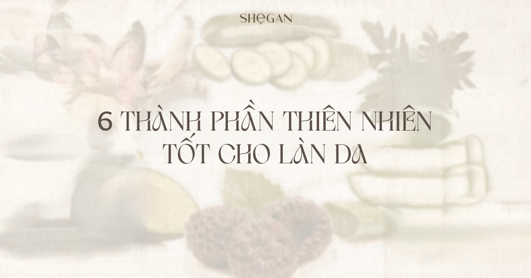6 thành phần thiên nhiên tốt cho làn da