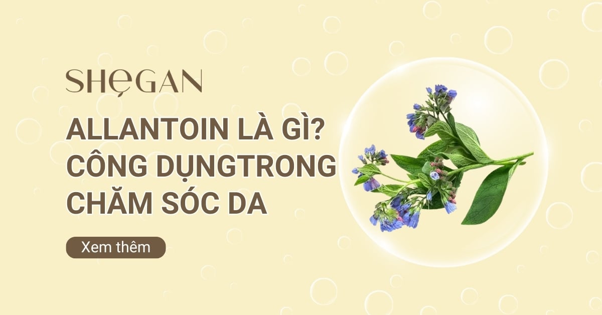 Allantoin là gì? Công dụng của Allantoin trong chăm sóc da