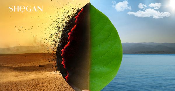 Biến đổi khí hậu: Những hậu quả không ngờ