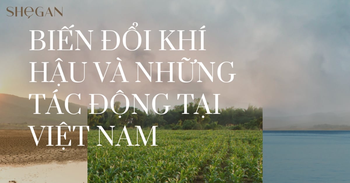 BIẾN ĐỔI KHÍ HẬU VÀ NHỮNG TÁC ĐỘNG TẠI VIỆT NAM