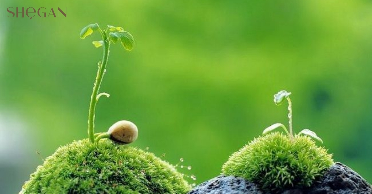 Khám phá top 3 phong cách sống truyền cảm hứng trên thế giới