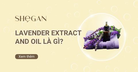 Lavender Extract And Oil là gì? Công dùng, Cách dùng, Lưu ý