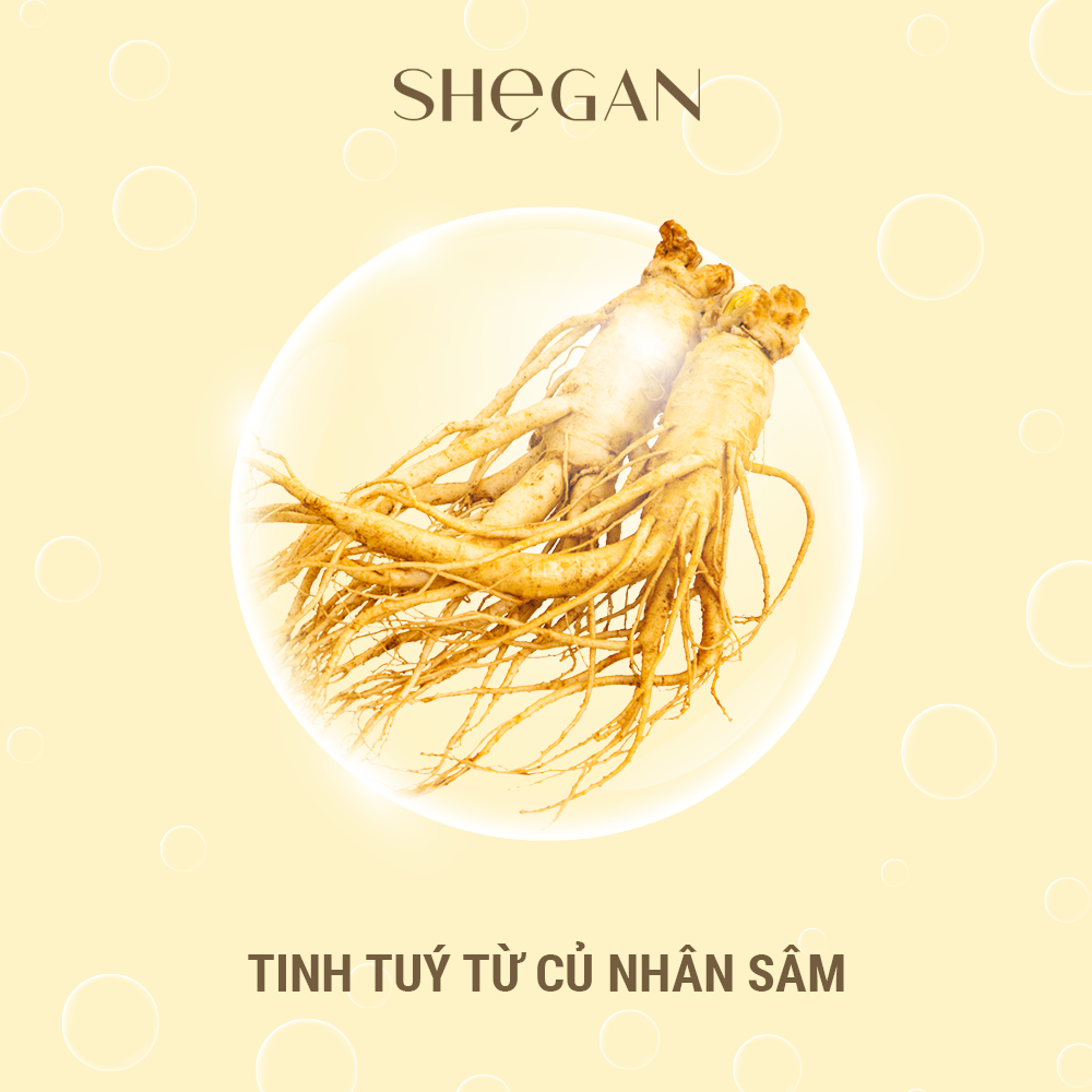 TINH TUÝ TỪ CỦ NHÂN SÂM