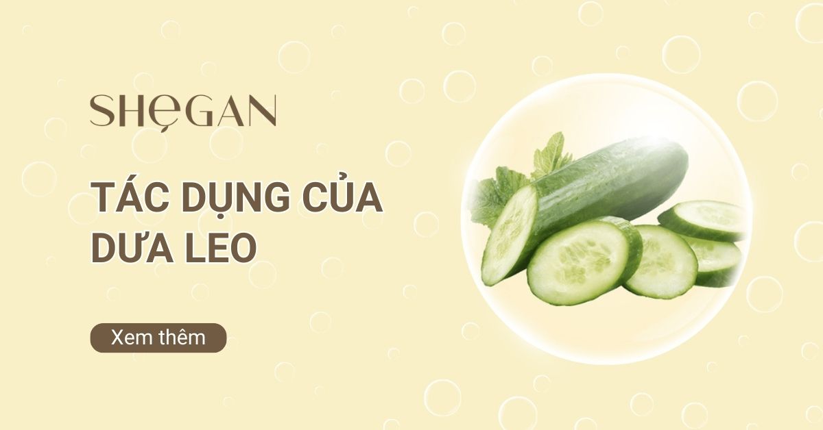 NHỮNG ỨNG DỤNG BẤT NGỜ TỪ DƯA LEO
