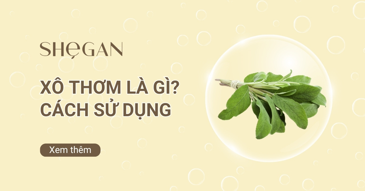 Xô thơm là gì? Công dụng và cách sử dụng hiệu quả nhất