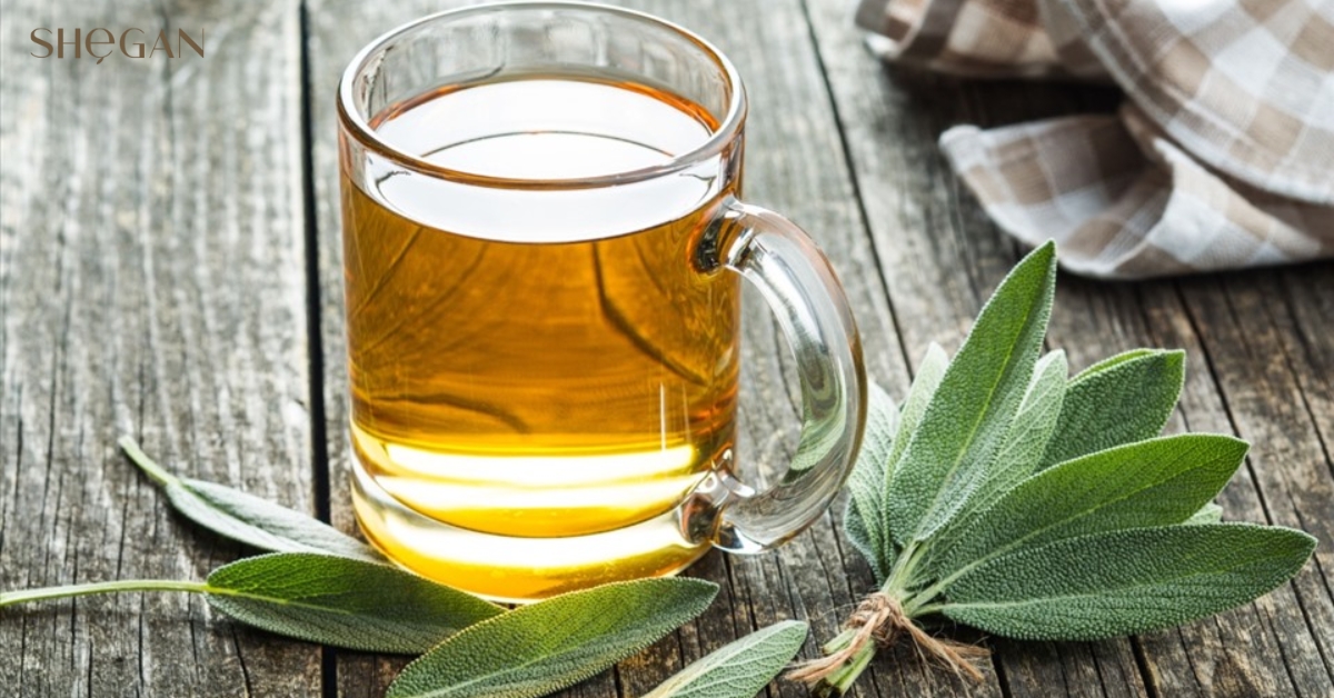 Công dụng tuyệt vời của cây xô thơm