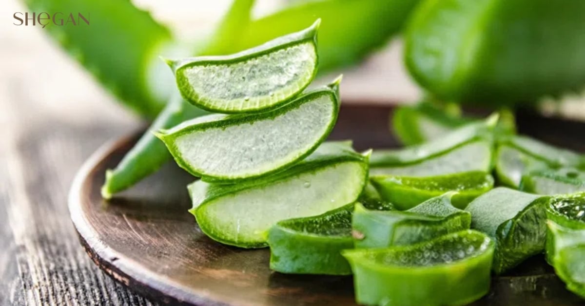 Tìm hiểu về cây nha đam