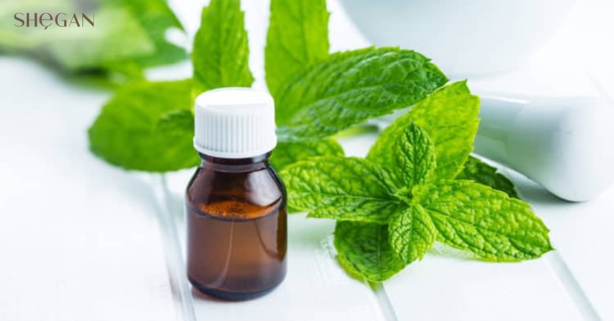 Thành phần hóa học của Mentha Arvensis Leaf Extract
