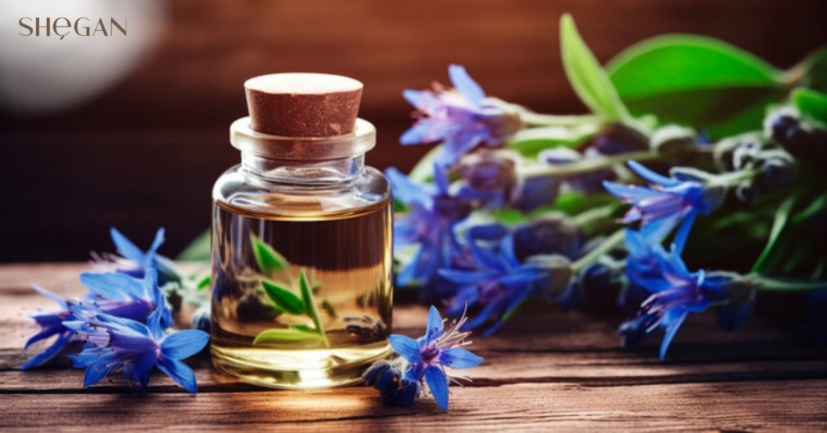 Borago Officinalis Extract được sử dụng như thế nào