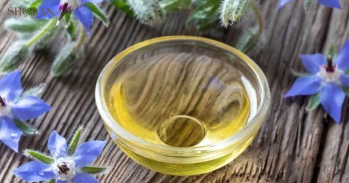 Cách sử dụng cây lưu ly hiệu quả