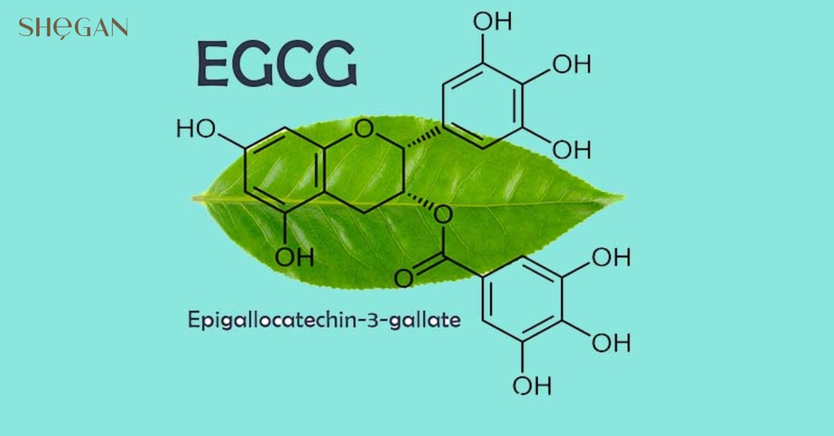 Thành phần của Camellia Sinensis Leaf Extract