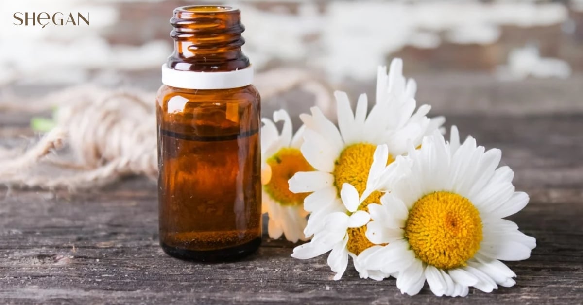 Anthemis Nobilis Flower Extract là gì