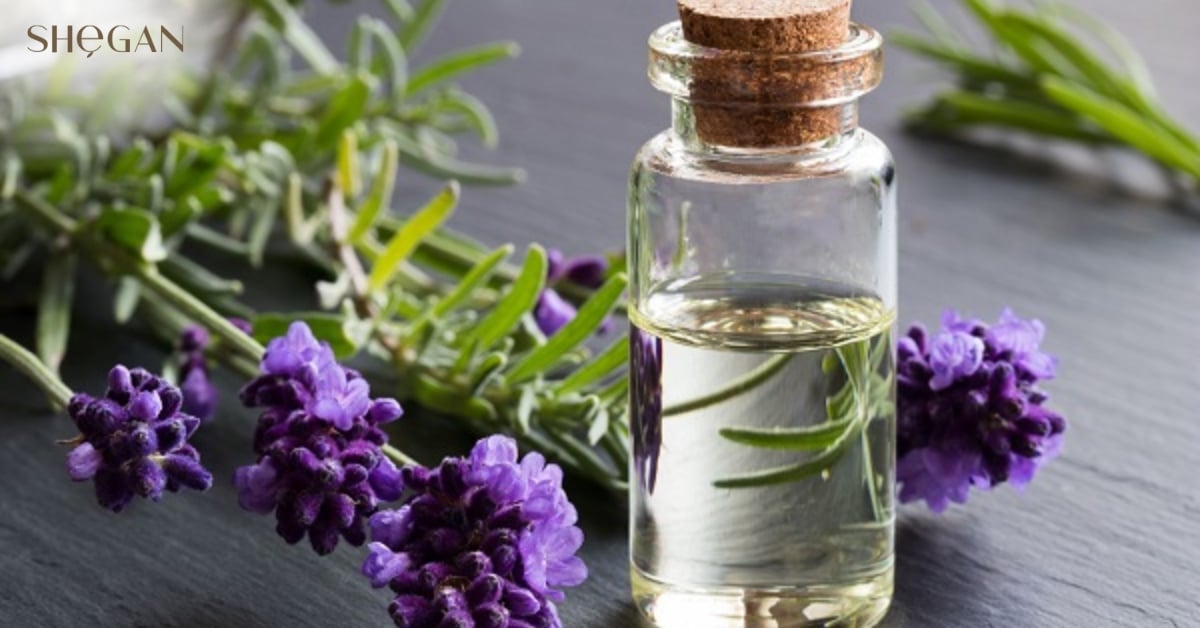 Lavender Extract And Oil là gì