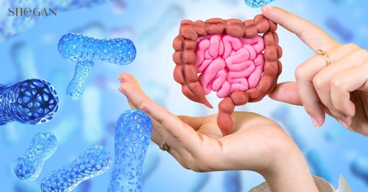 Tăng cường hệ thống miễn dịch