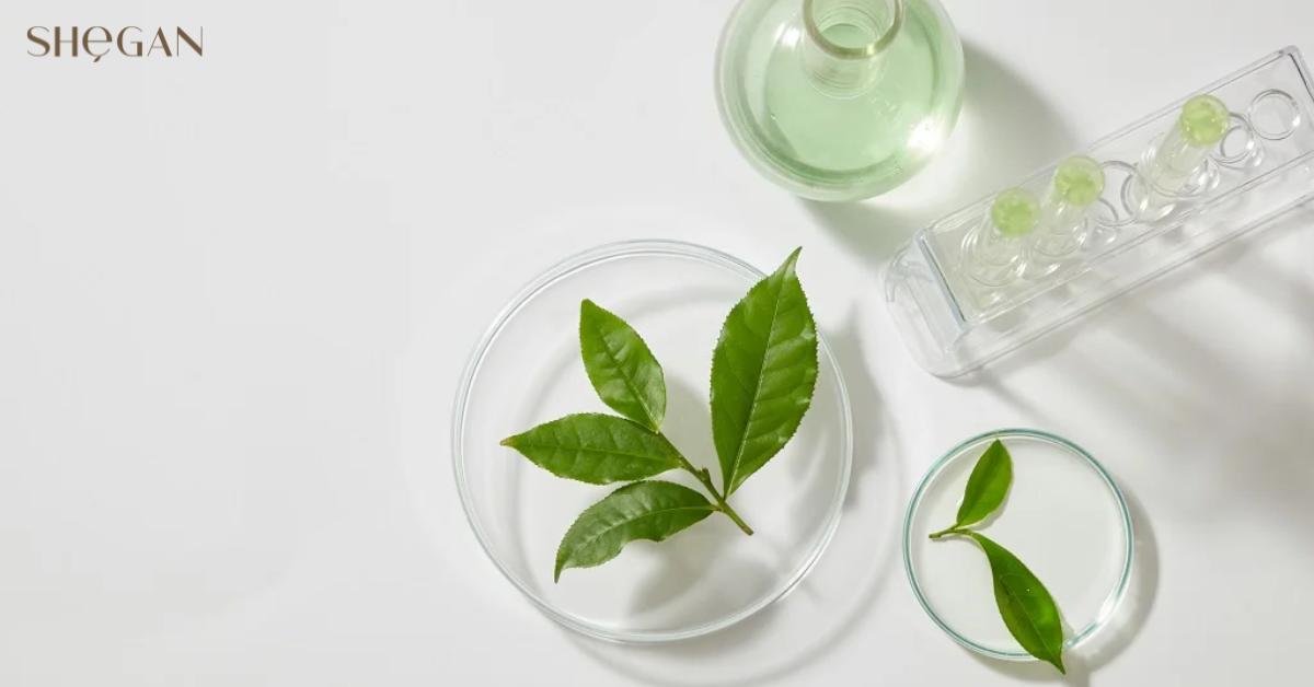 Phenoxyethanol thường được dùng như chất bảo quản thay thế paraben trong mỹ phẩm