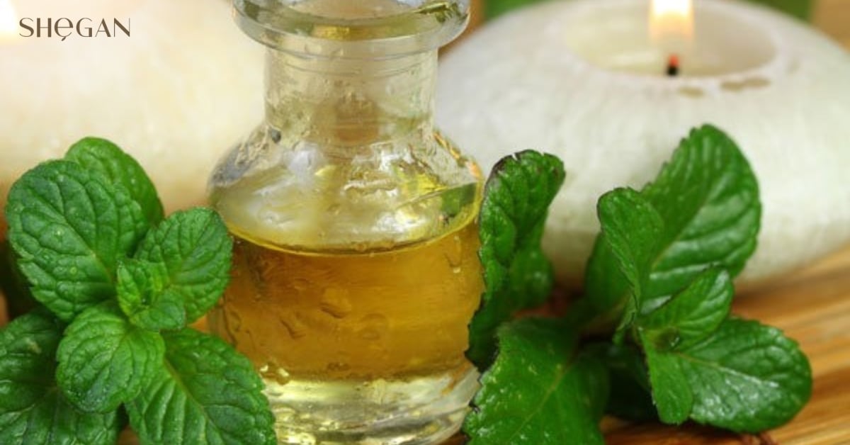 Cách sử dụng Mentha Arvensis Leaf Extract an toàn