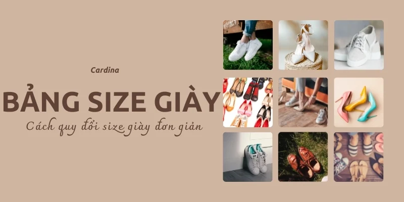 Hướng dẫn chọn size giày ADIDAS chính hãng tại Thế Giới Chạy Bộ