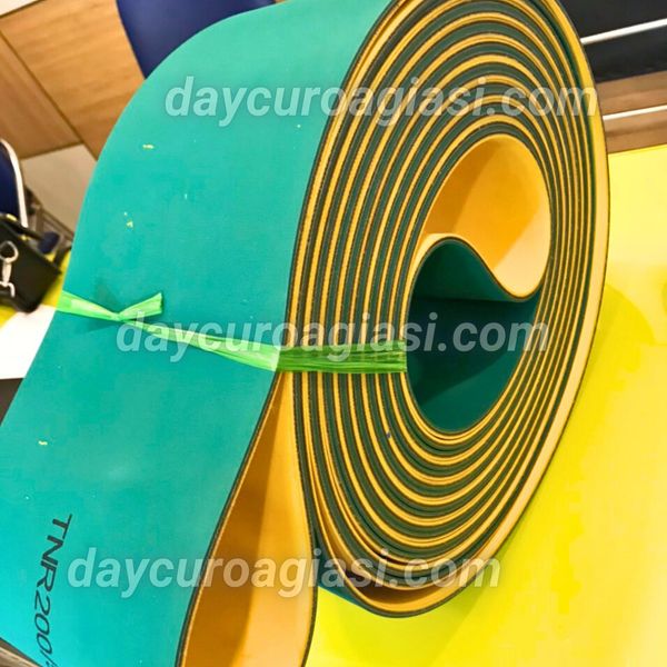 Dây đai xanh vàng 5mm