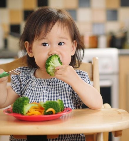 🥬 6 Cách Tập Cho Bé Ăn Rau Mỗi Ngày Mà Không Ép Buộc